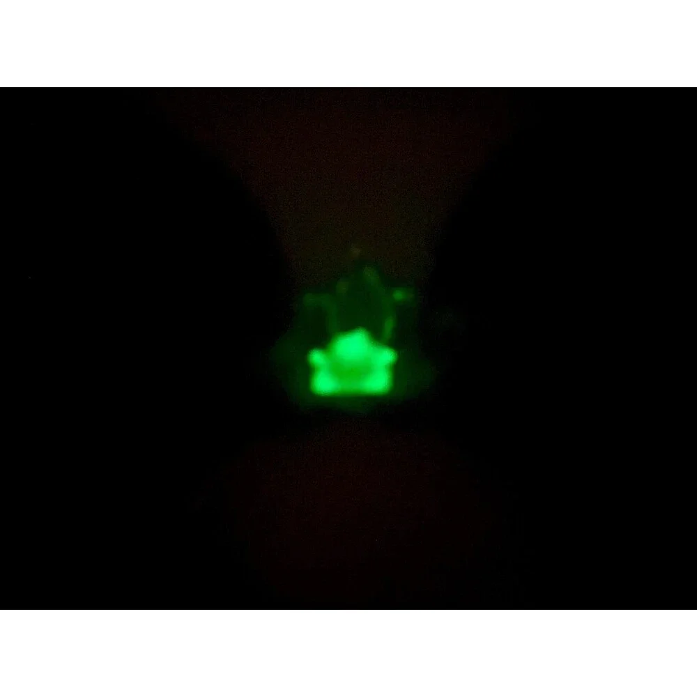 Princess Mouse Ears Headband, Glow in Dark Frog Rhinestone Tiara, Park Ears
